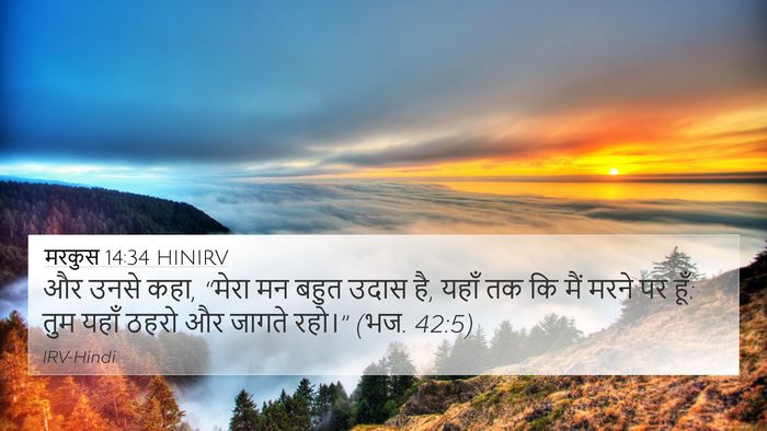 मरकुस 14:34 HINIRV 4K Wallpaper - और उनसे कहा, “मेरा - 4K Wallpaper Bible Verse