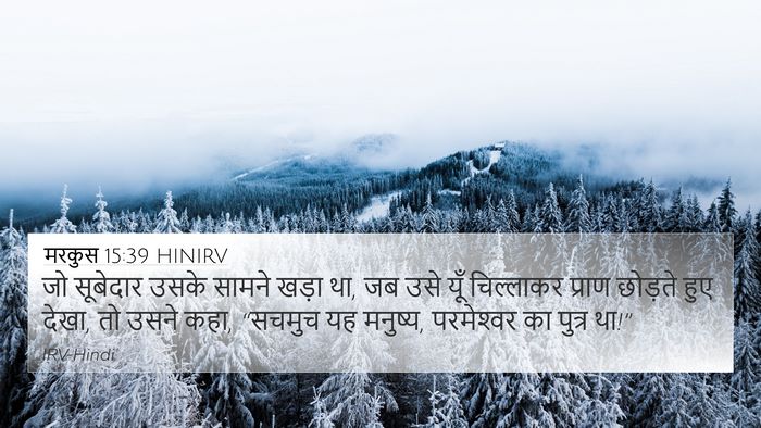 मरकुस 15:39 HINIRV Bible Verse Image