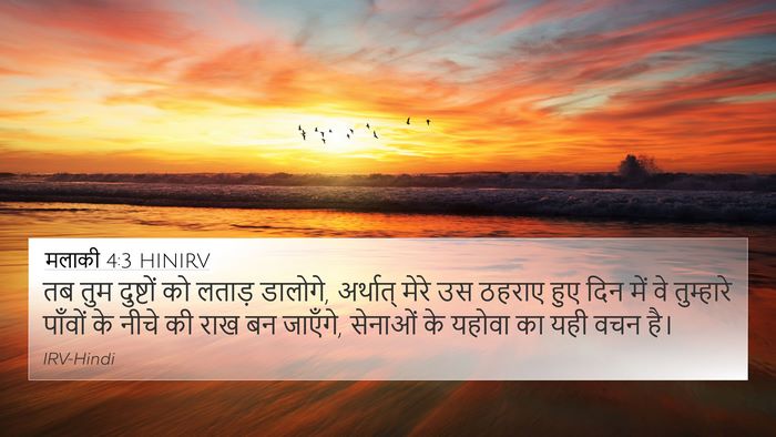 मलाकी 4:3 HINIRV Bible Verse Image