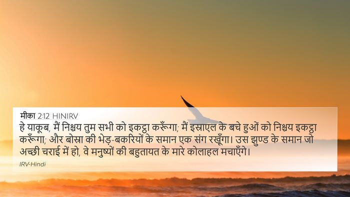 मीका 2:12 HINIRV Bible Verse Image