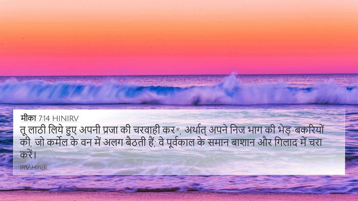 मीका 7:14 HINIRV Bible Verse Image