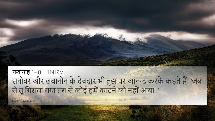 यशायाह 14:8 HINIRV Bible Verse Image