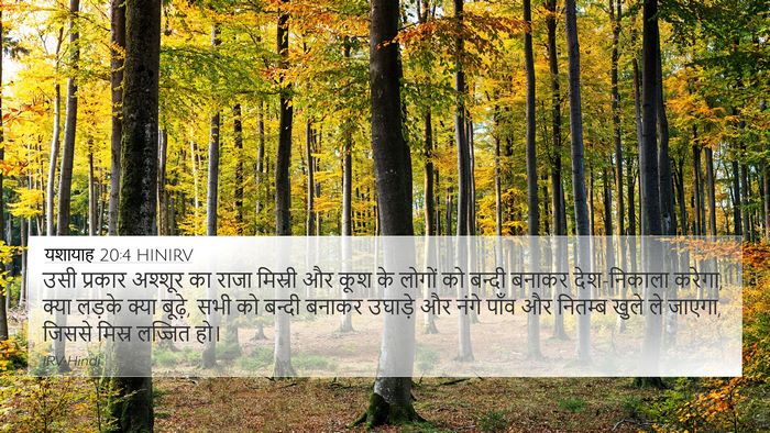 यशायाह 20:4 HINIRV Bible Verse Image