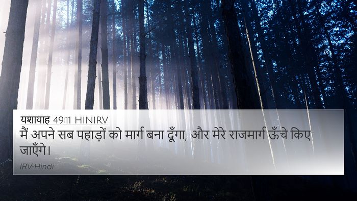 यशायाह 49:11 HINIRV 4K Wallpaper - मैं अपने सब - 4K Wallpaper Bible Verse