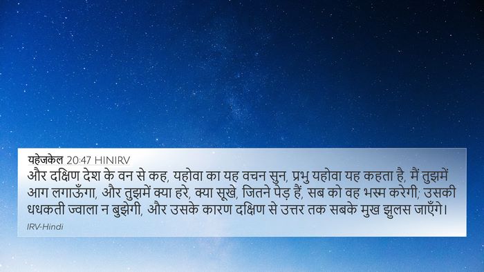 यहेजकेल 20:47 HINIRV Bible Verse Image