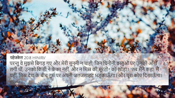 यहेजकेल 20:8 HINIRV Bible Verse Image