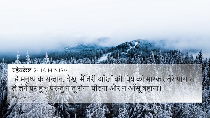 यहेजकेल 24:16 HINIRV Bible Verse Image