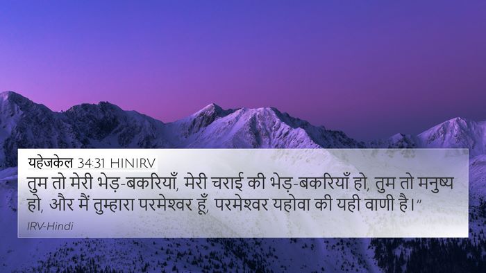यहेजकेल 34:31 HINIRV Bible Verse Image