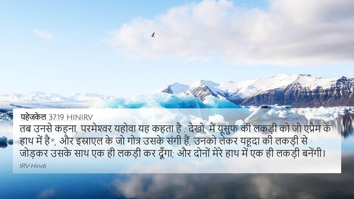 यहेजकेल 37:19 HINIRV Bible Verse Image