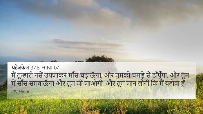यहेजकेल 37:6 HINIRV 4K Wallpaper - मैं तुम्हारी नसें - 4K Wallpaper Bible Verse