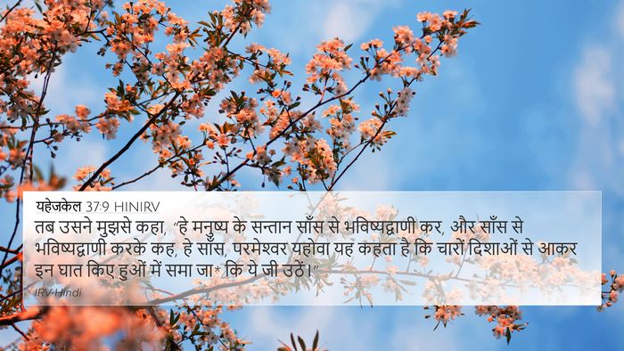यहेजकेल 37:9 HINIRV Bible Verse Image