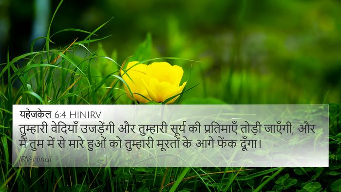 यहेजकेल 6:4 HINIRV Bible Verse Image