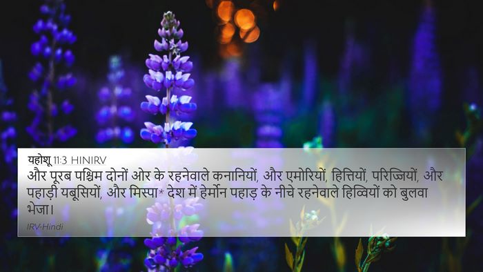 यहोशू 11:3 HINIRV Bible Verse Image