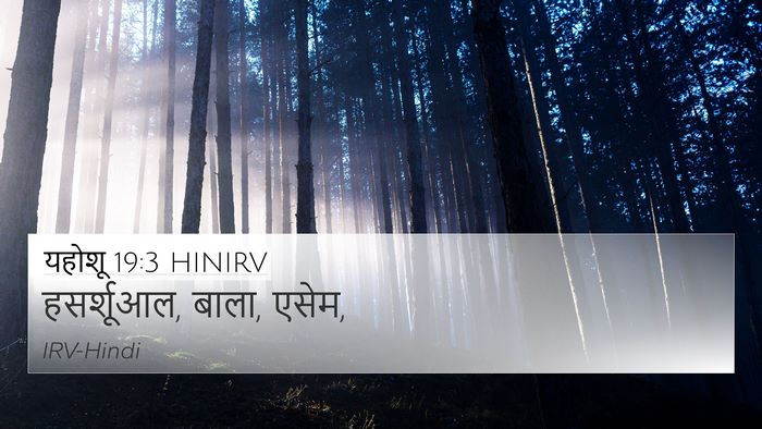 यहोशू 19:3 HINIRV Bible Verse Image