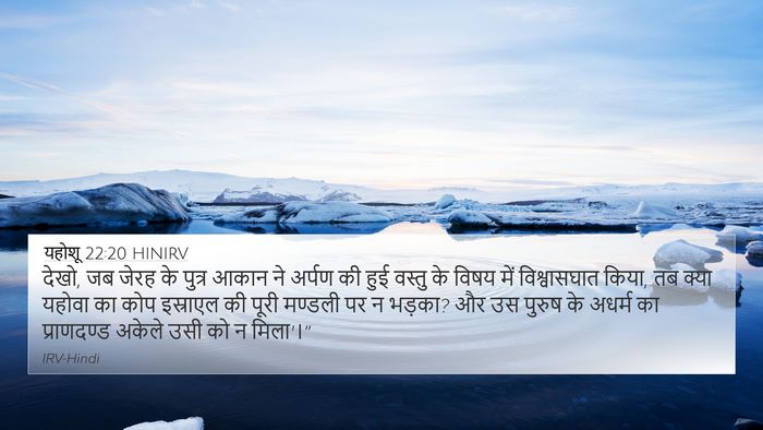यहोशू 22:20 HINIRV Bible Verse Image