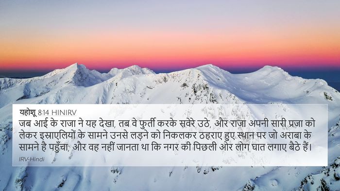 यहोशू 8:14 HINIRV Bible Verse Image