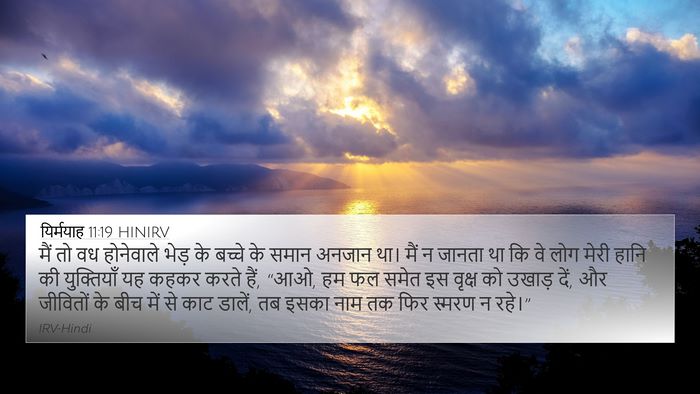 यिर्मयाह 11:19 HINIRV Bible Verse Image