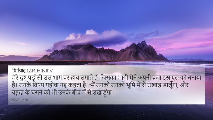 यिर्मयाह 12:14 HINIRV Bible Verse Image