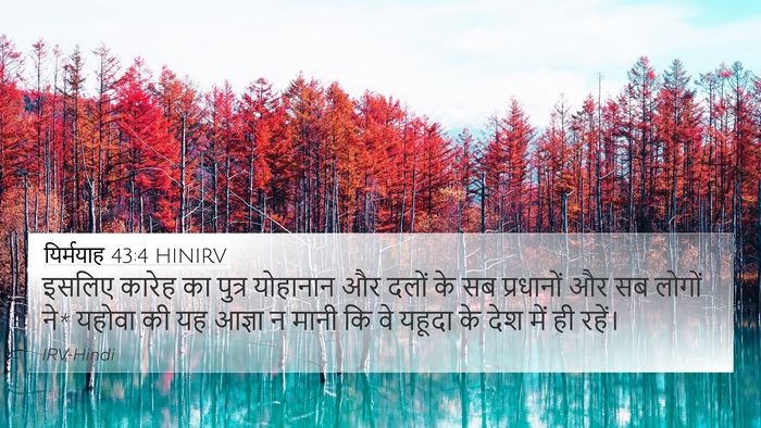 यिर्मयाह 43:4 HINIRV Bible Verse Image