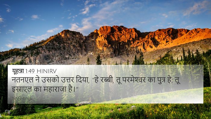 यूहन्ना 1:49 HINIRV Bible Verse Image