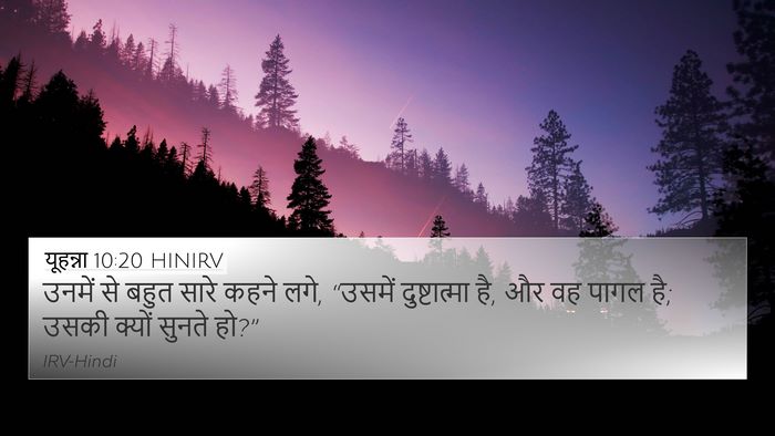 यूहन्ना 10:20 HINIRV Bible Verse Image
