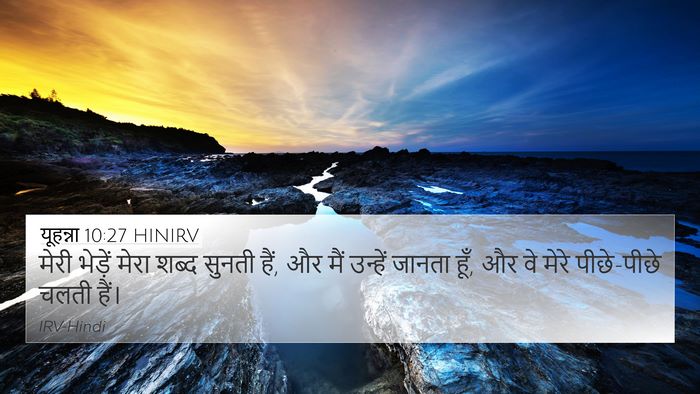 यूहन्ना 10:27 HINIRV Bible Verse Image
