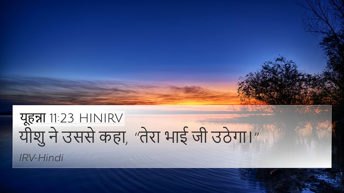 यूहन्ना 11:23 HINIRV Bible Verse Image