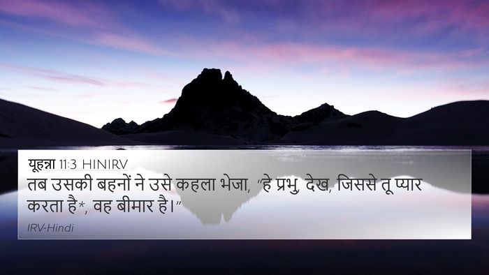 यूहन्ना 11:3 HINIRV Bible Verse Image
