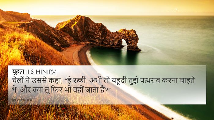 यूहन्ना 11:8 HINIRV Bible Verse Image