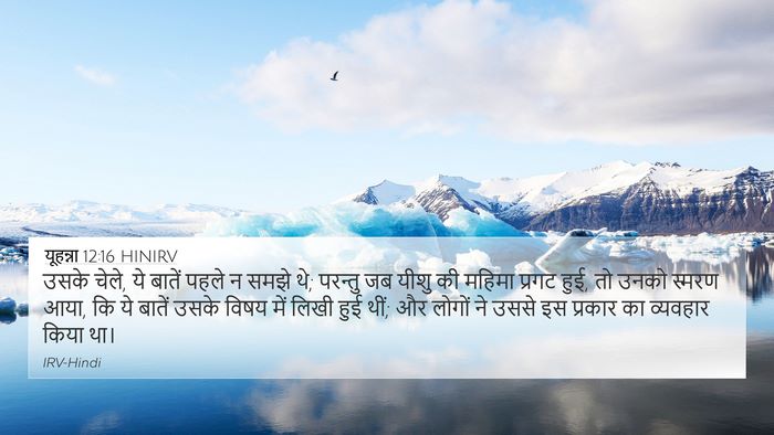 यूहन्ना 12:16 HINIRV Bible Verse Image