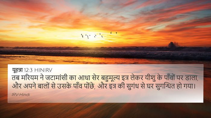 यूहन्ना 12:3 HINIRV Bible Verse Image