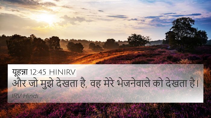 यूहन्ना 12:45 HINIRV Bible Verse Image