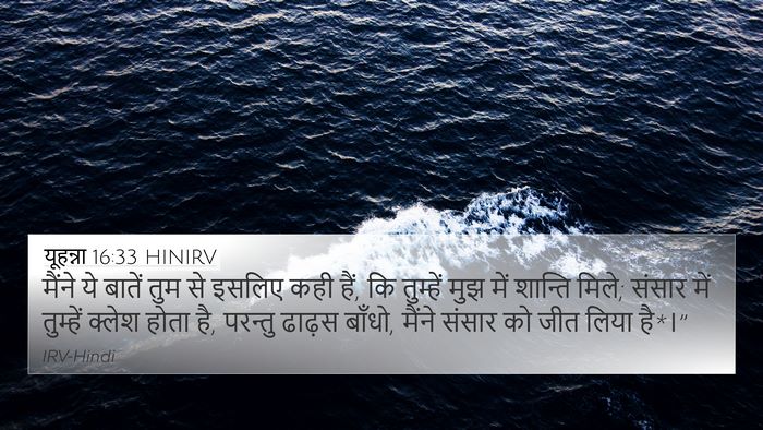 यूहन्ना 16:33 HINIRV Bible Verse Image