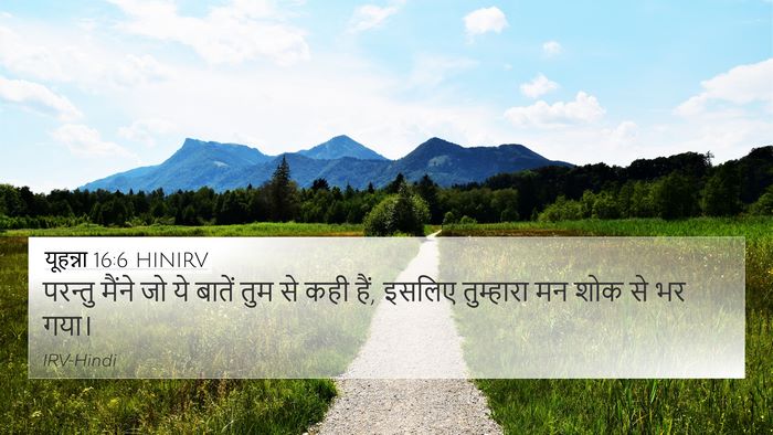 यूहन्ना 16:6 HINIRV Bible Verse Image