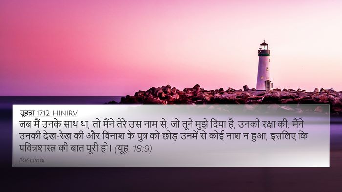 यूहन्ना 17:12 HINIRV Bible Verse Image