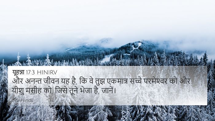 यूहन्ना 17:3 HINIRV Bible Verse Image