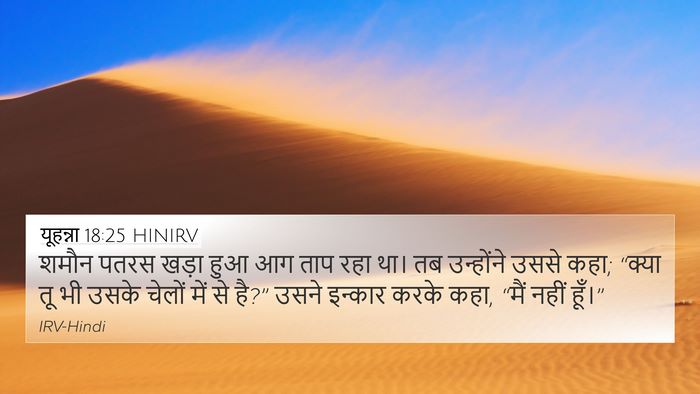 यूहन्ना 18:25 HINIRV Bible Verse Image