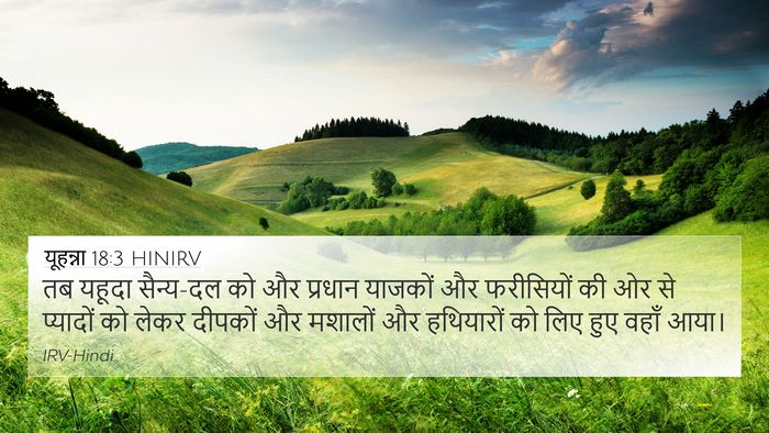 यूहन्ना 18:3 HINIRV Bible Verse Image