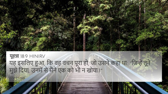 यूहन्ना 18:9 HINIRV Bible Verse Image