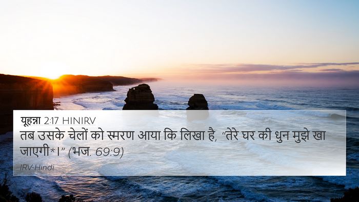 यूहन्ना 2:17 HINIRV Bible Verse Image