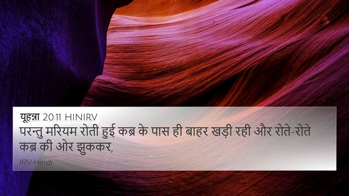 यूहन्ना 20:11 HINIRV Bible Verse Image