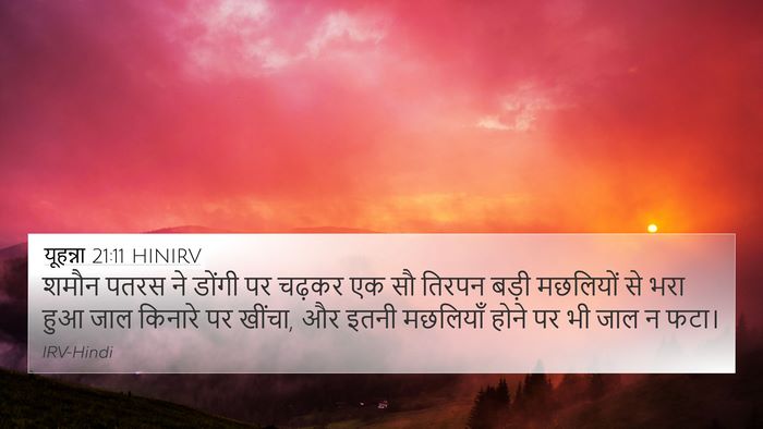 यूहन्ना 21:11 HINIRV 4K Wallpaper - शमौन पतरस ने डोंगी - 4K Wallpaper Bible Verse