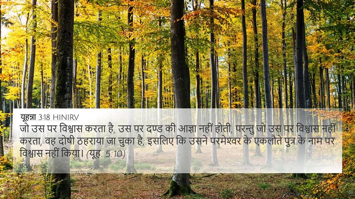 यूहन्ना 3:18 HINIRV Bible Verse Image
