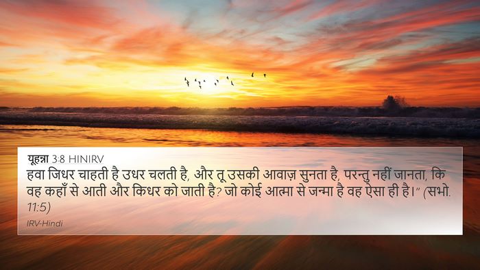 यूहन्ना 3:8 HINIRV Bible Verse Image