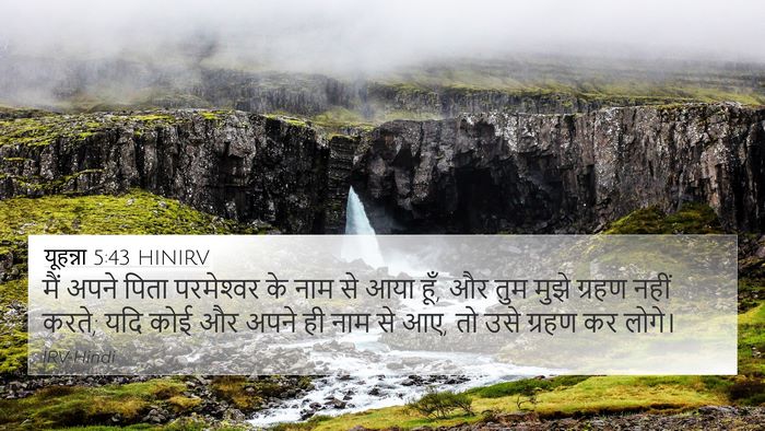 यूहन्ना 5:43 HINIRV Bible Verse Image
