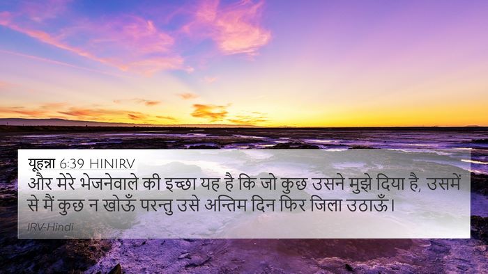 यूहन्ना 6:39 HINIRV Bible Verse Image