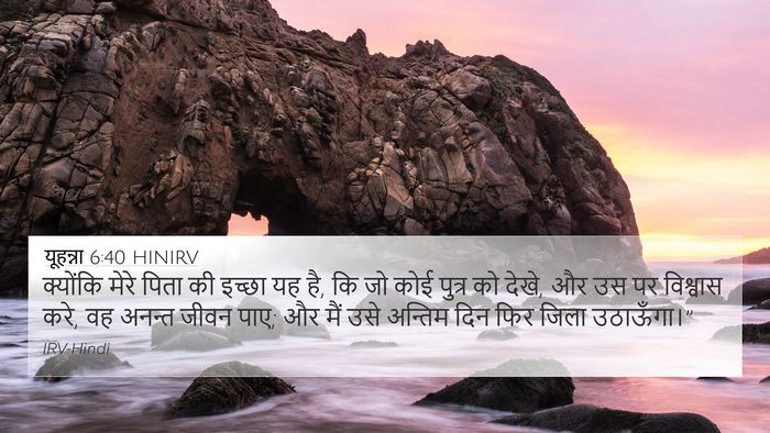 यूहन्ना 6:40 HINIRV Bible Verse Image
