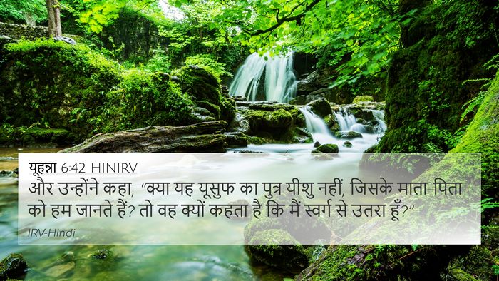यूहन्ना 6:42 HINIRV Bible Verse Image