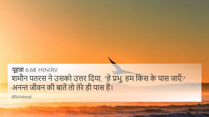 यूहन्ना 6:68 HINIRV Bible Verse Image