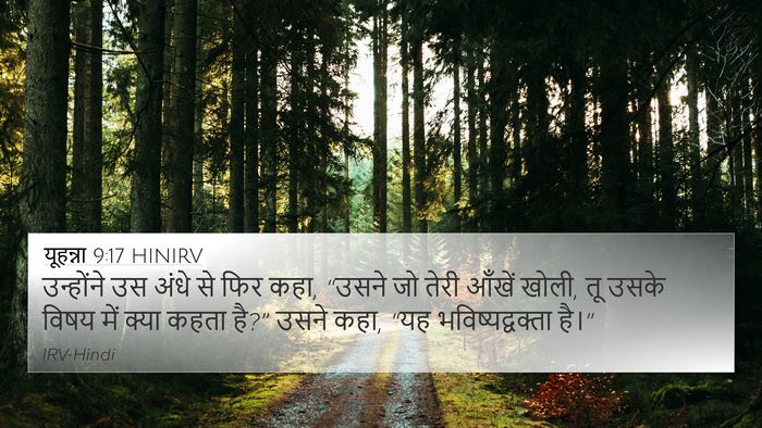यूहन्ना 9:17 HINIRV Bible Verse Image